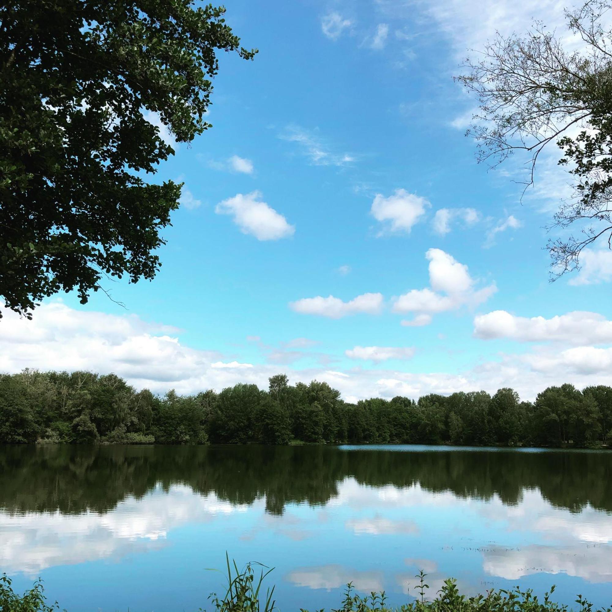 Gite De La Cote A Autreville Sur Moselle Экстерьер фото
